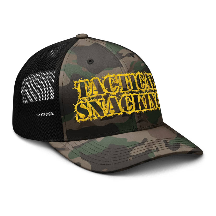 The "Why Didn't We Make This Sooner" Hat product image (6)