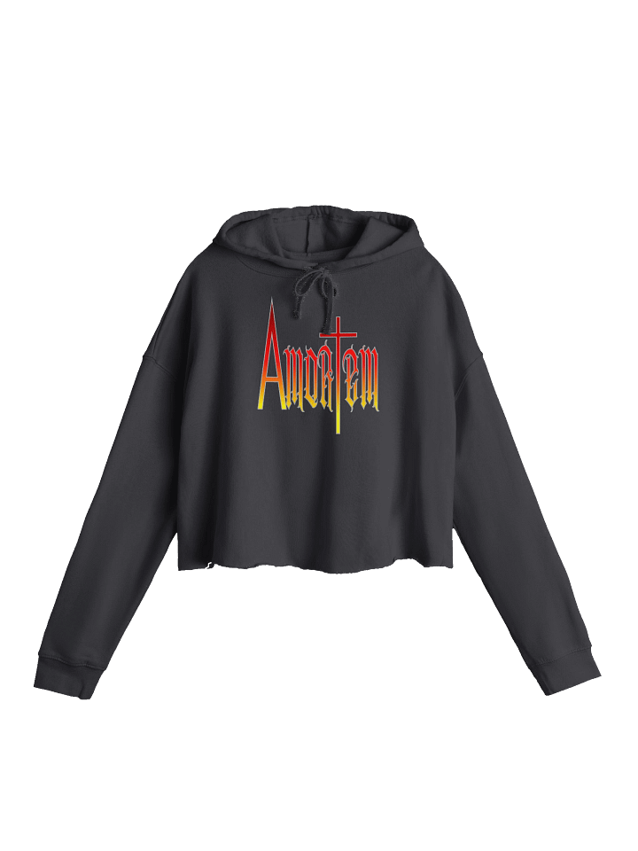 Amortem Gradient Crop Hoodie product image (1)