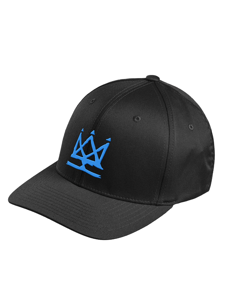 Have Fun Fitted Hat product image (2)