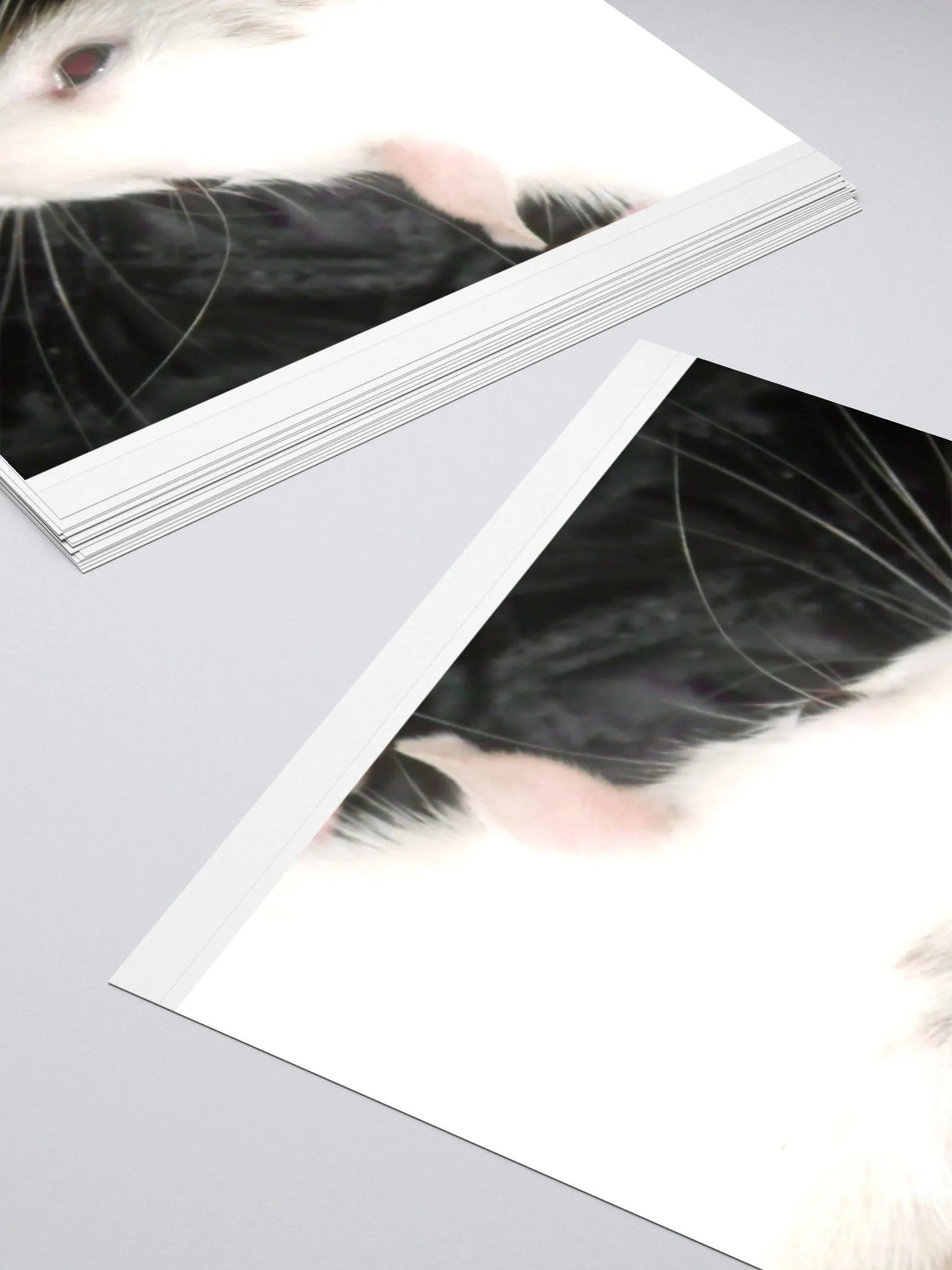 Black-eyed-white Dumbo rat sticker product image (11)