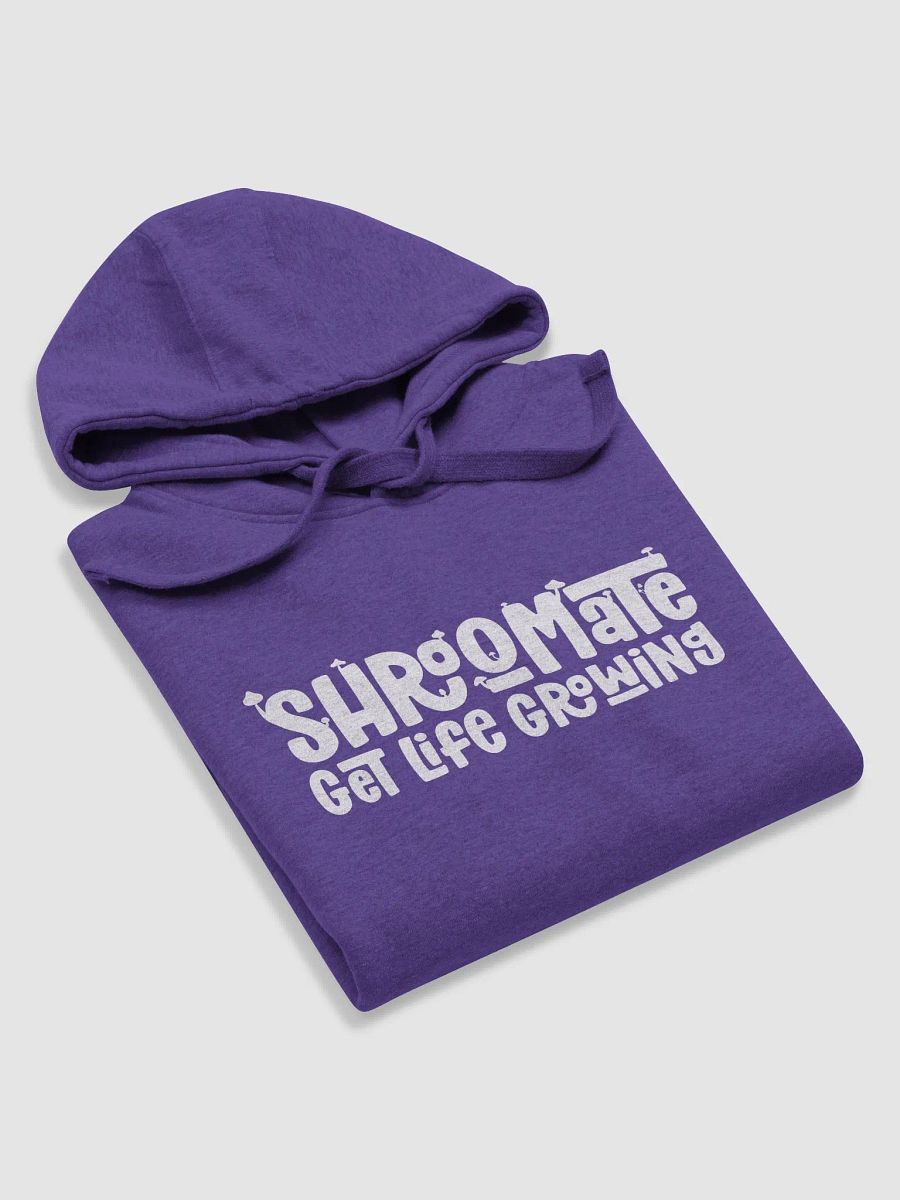 Classic Brand Hoodie product image (3)