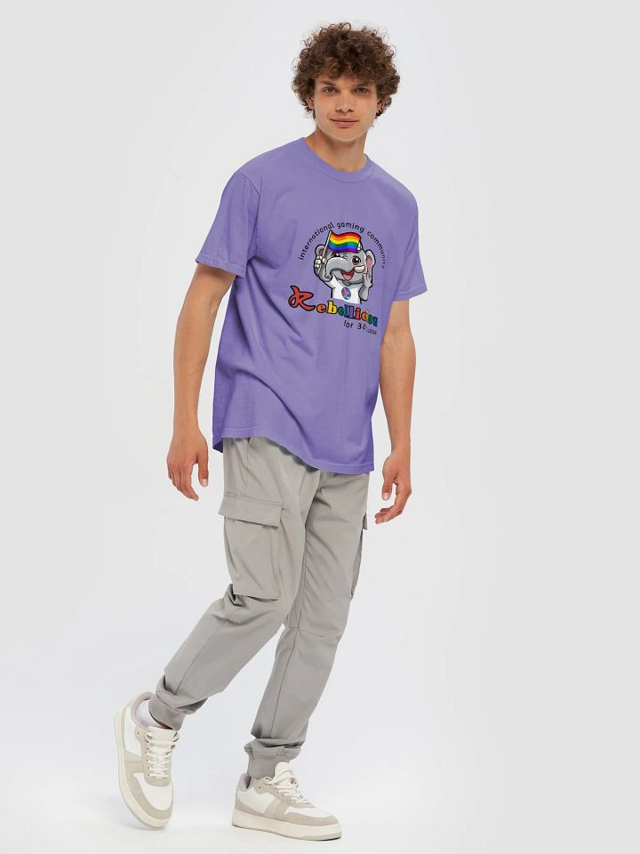 Comfort Colors Pride T-shirt product image (1)