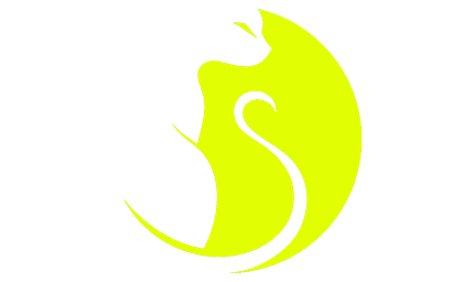 VIP-BlackKittenTech Annual Membership!