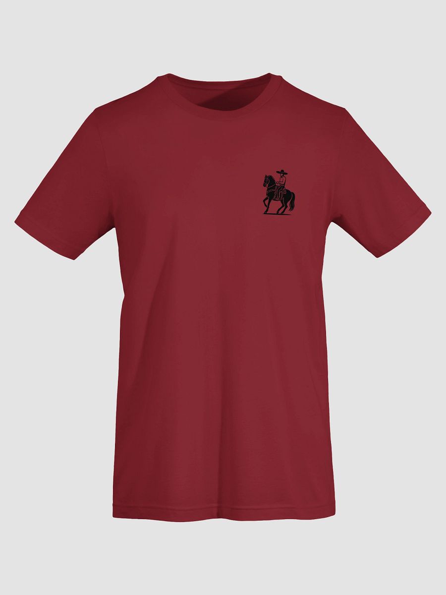 Caballo Charro | Orgullo Nacional | Caballos y Más product image (20)