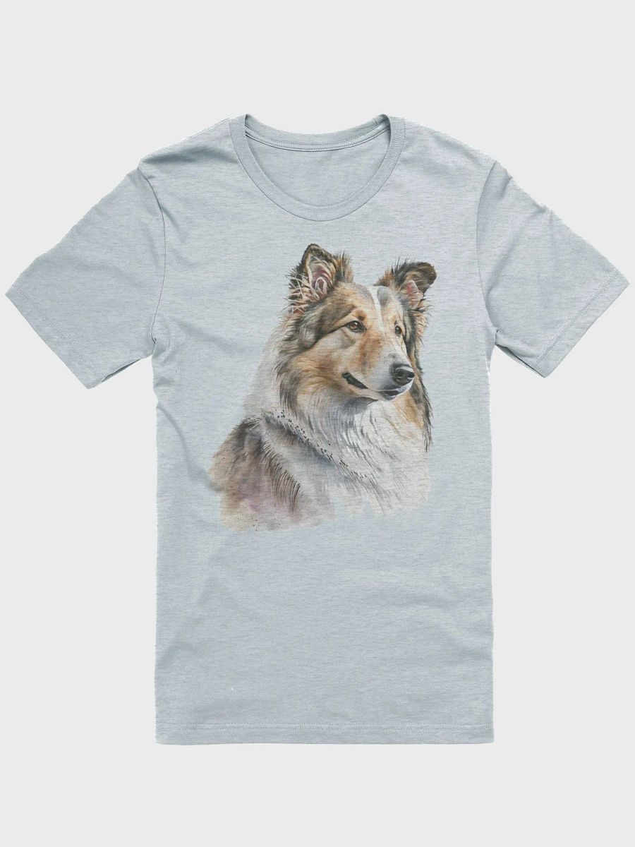 Collie product image (1)