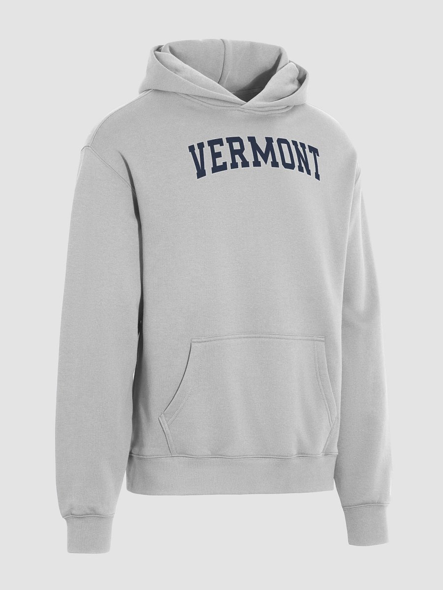 Vermont Vintage Varsity Unisex Premium Oversized Hoodie product image (28)