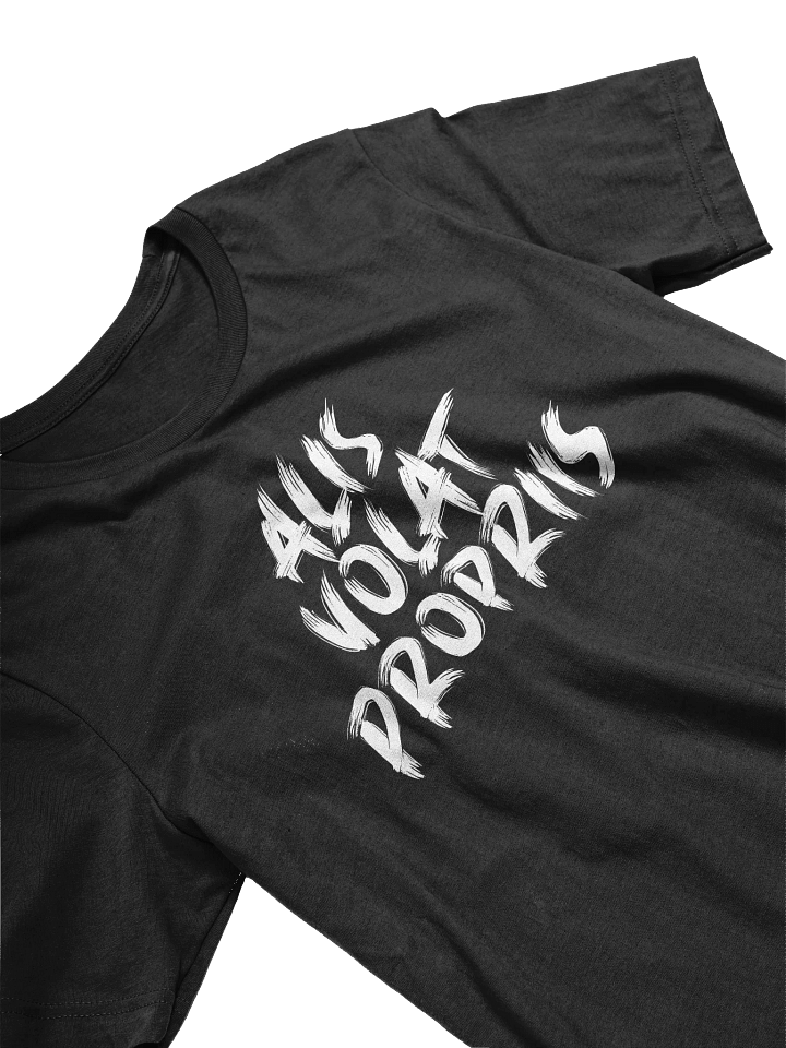 Alis Volat Propriis Bold Brush T-Shirt product image (2)