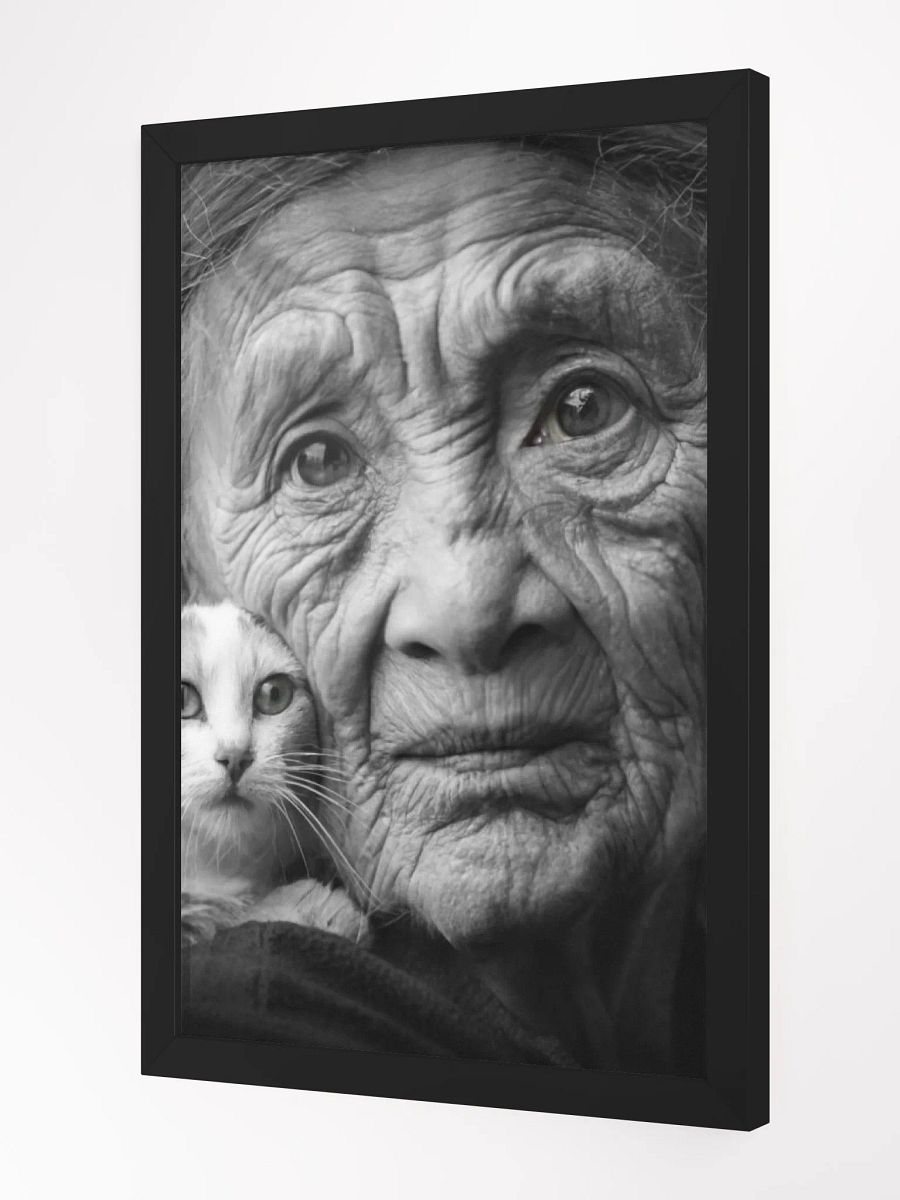 Timeless Grace: Wrinkles of Wisdom and the Warmth of Feline Companionship product image (6)