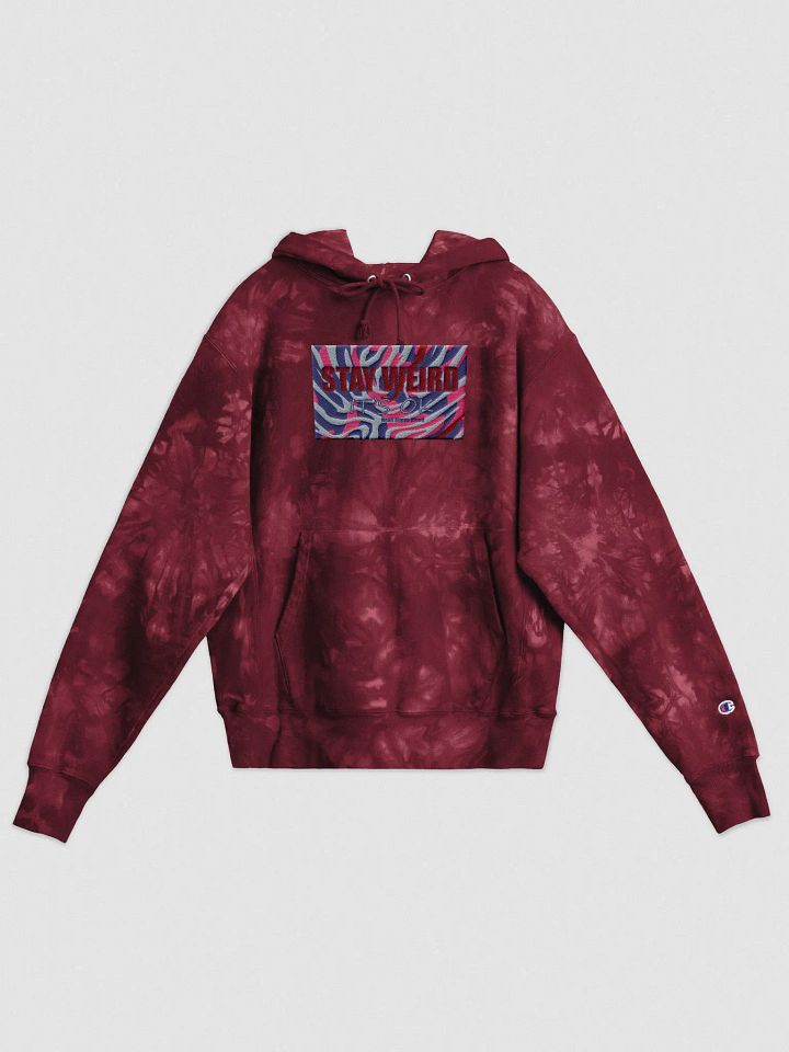 It's Ok HAC +Champion-Embroidered Hoodie product image (2)