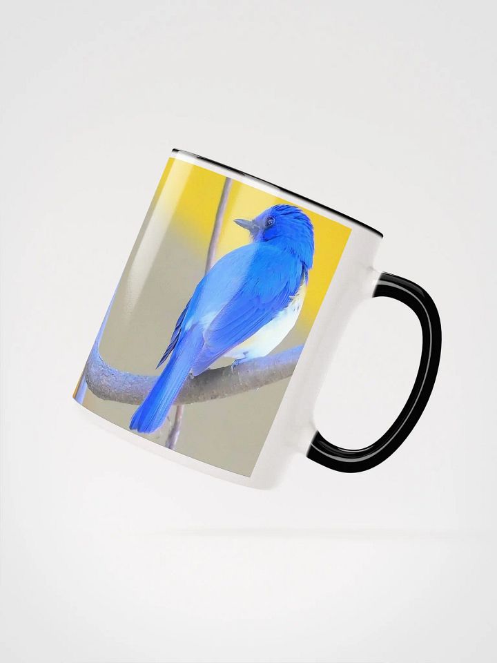 IUCAA Birds MUG product image (18)