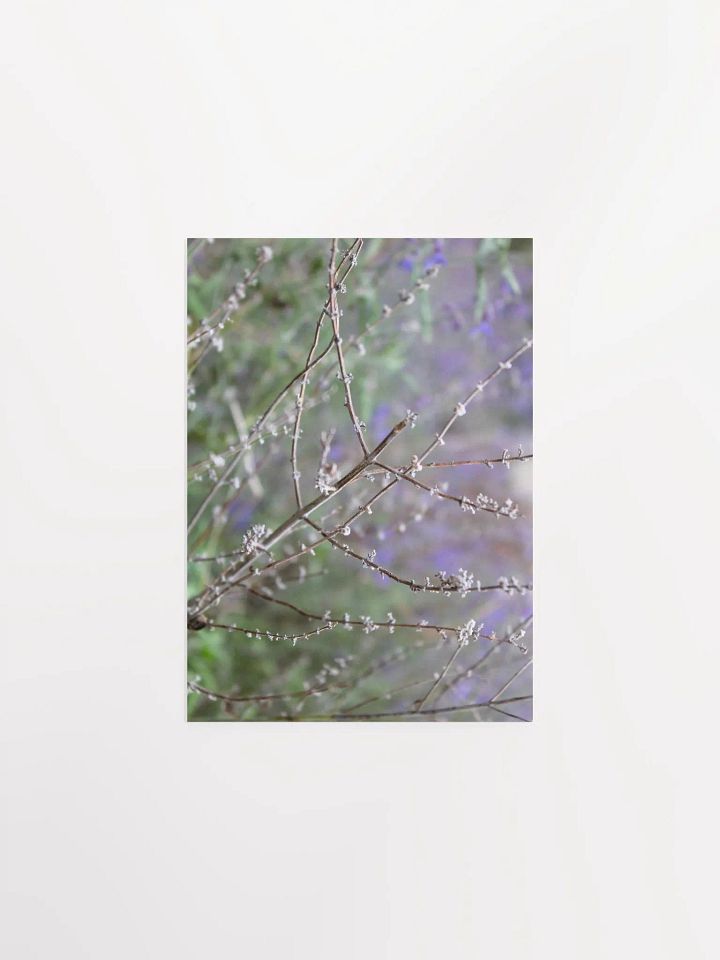 A Study in Flowers 15 product image (10)