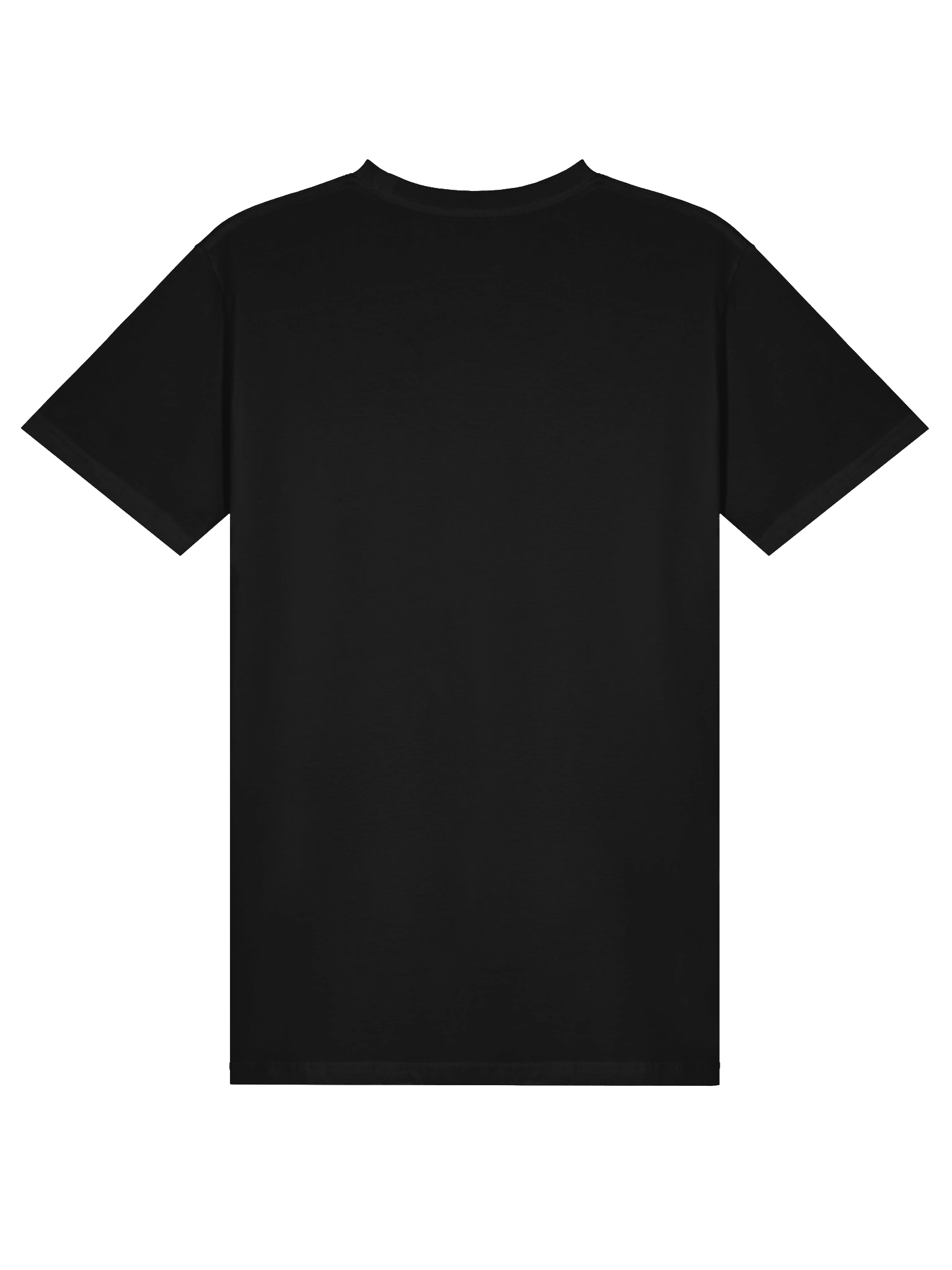 Project Ethercore Premium Tee (Unisex) product image (19)