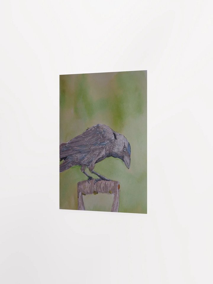 Corvid Series [06] Jackdaw poster print product image (2)