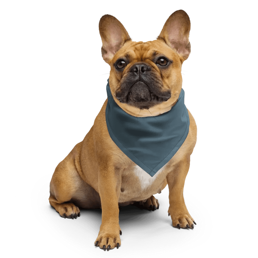 Addison Cosplay Bandana product image (6)