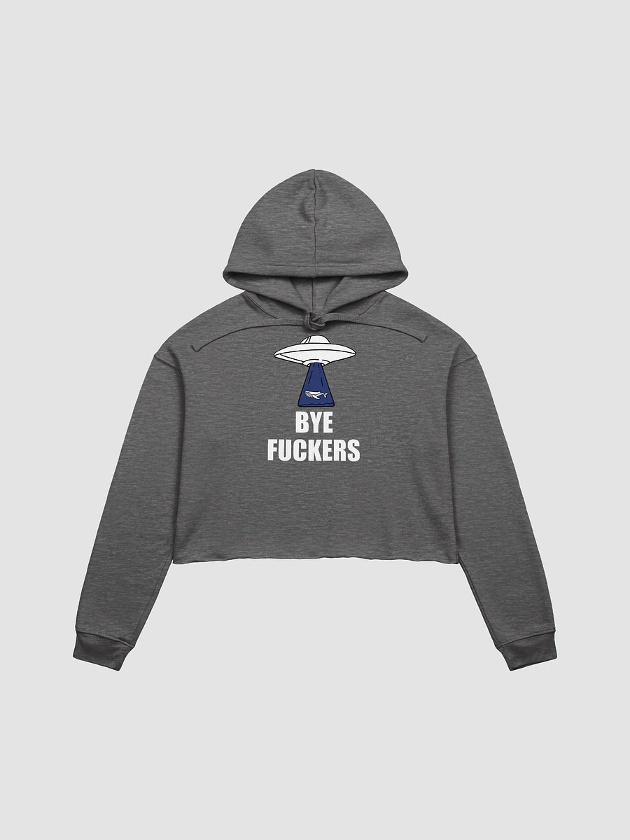 Bye Fuckers crop hoodie product image (2)
