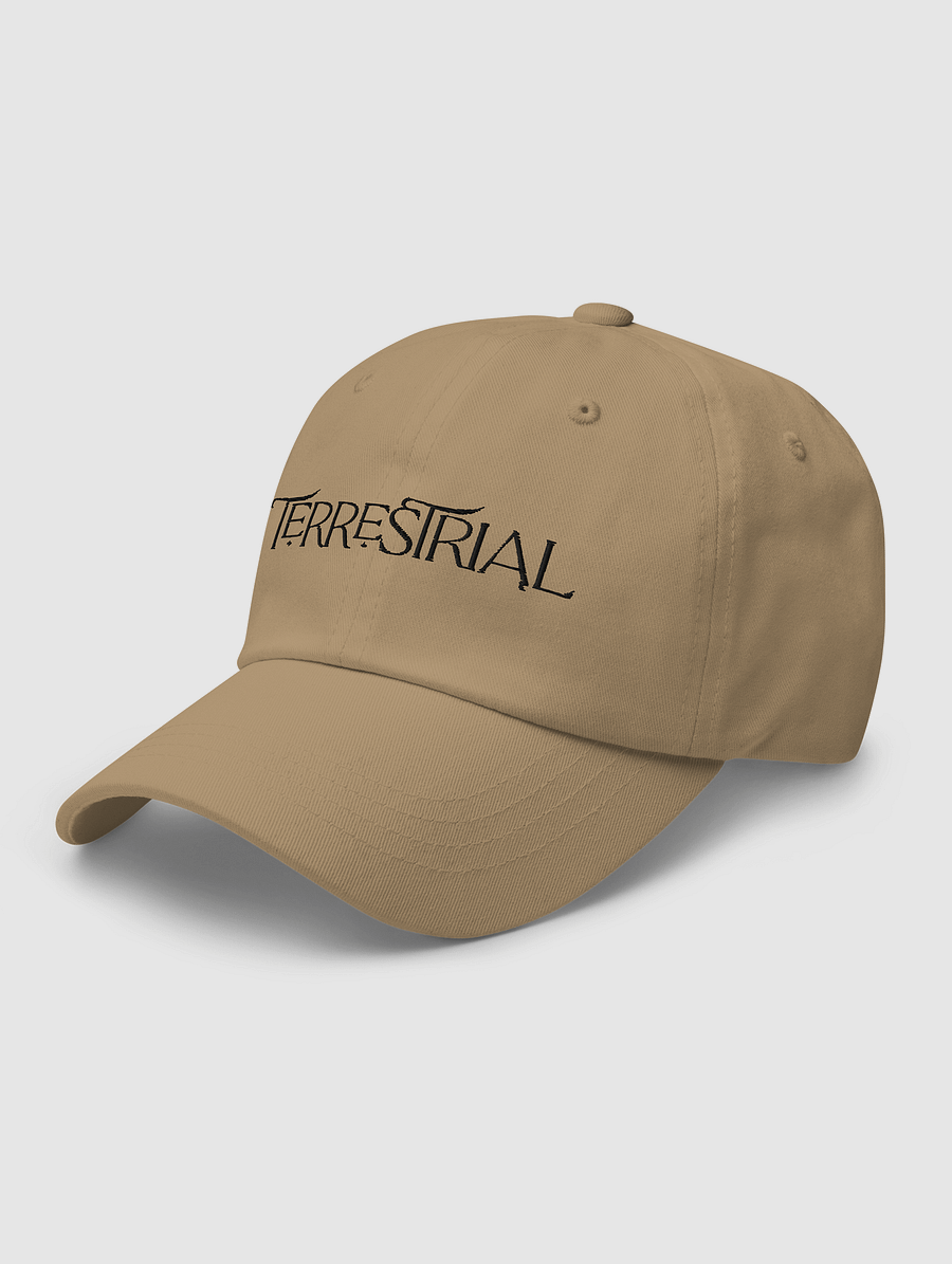 Terrestrial Logo Hat product image (2)