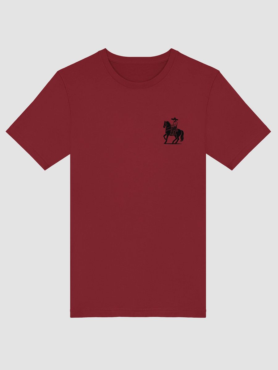 Caballo Charro | Orgullo Nacional | Caballos y Más product image (13)