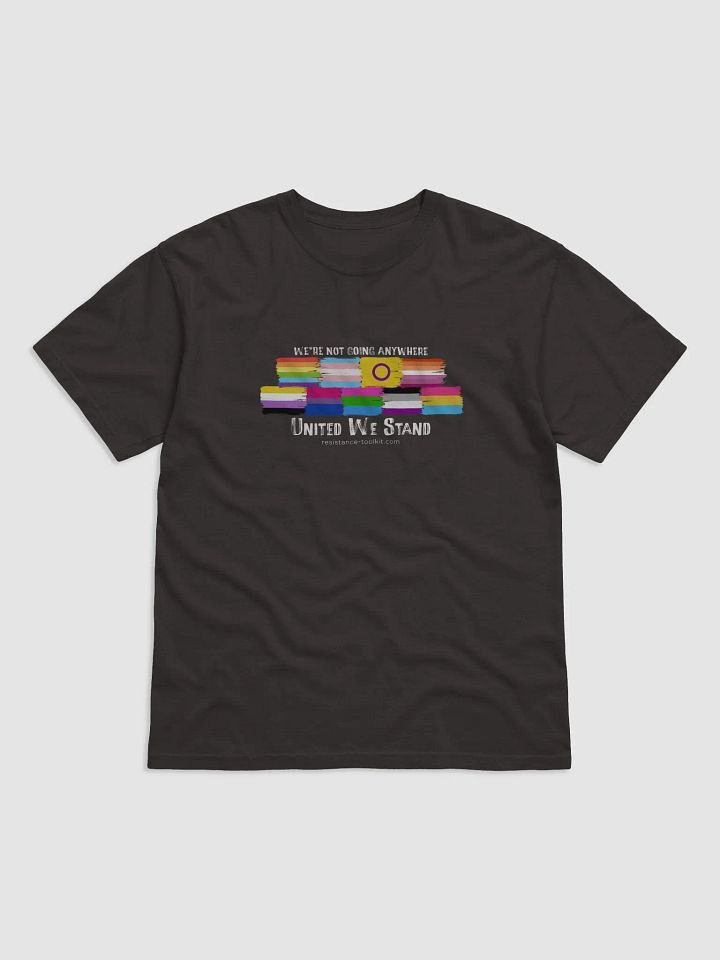 United We Stand product image (1)