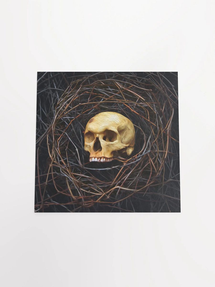 "Skull Nest" - 8x10 Matte Print product image (5)