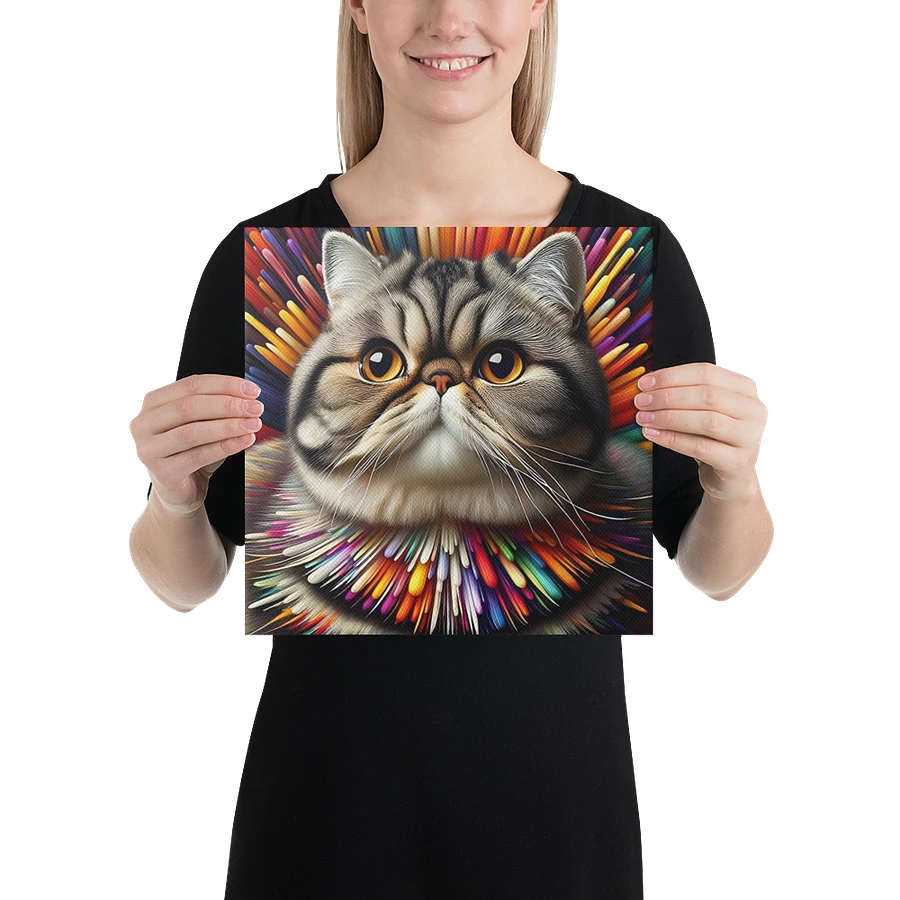 Canvas (in): Exotic Shorthair product image (2)