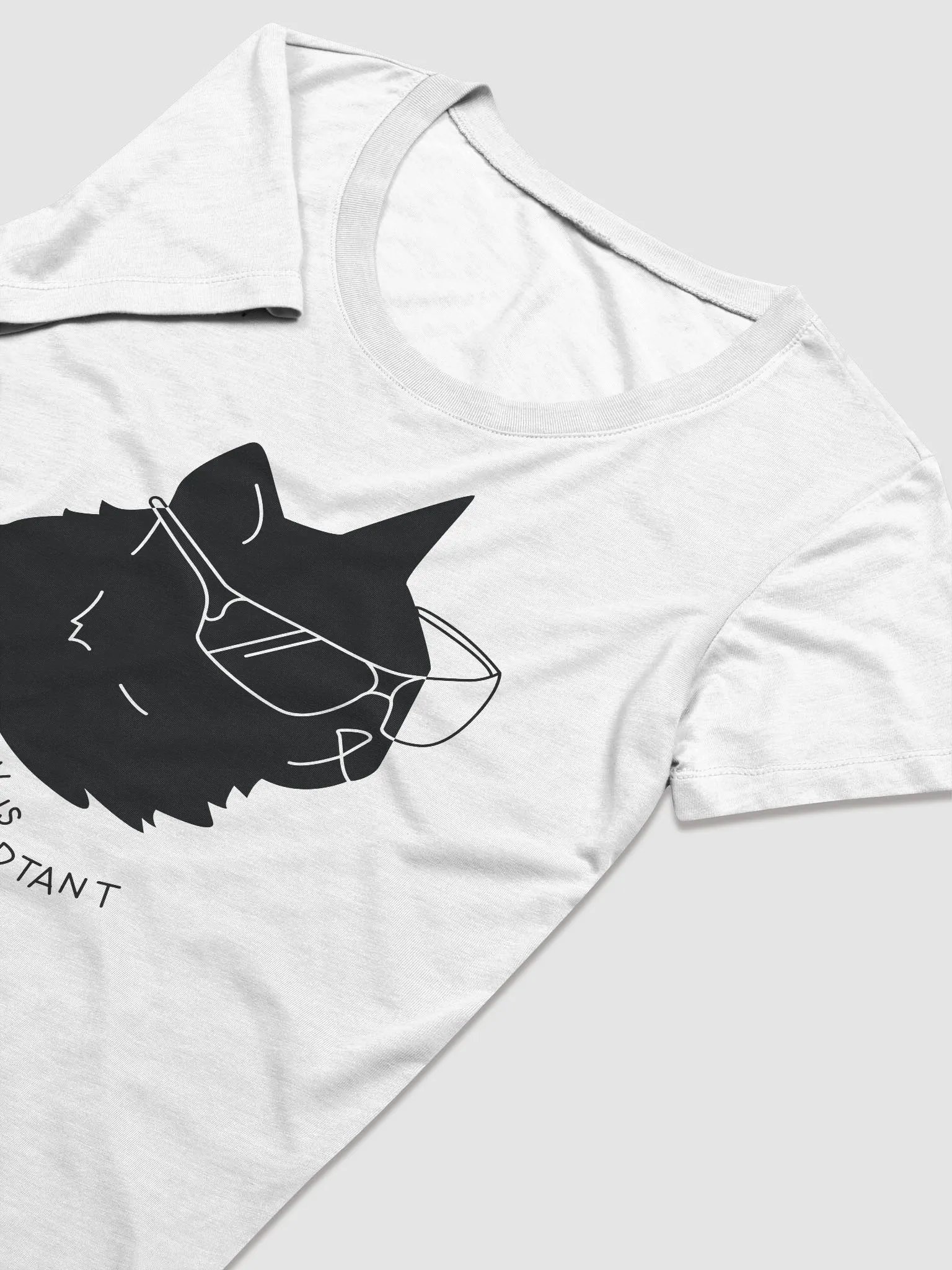 Safety Is ImPURRtant Women's Tee product image (3)