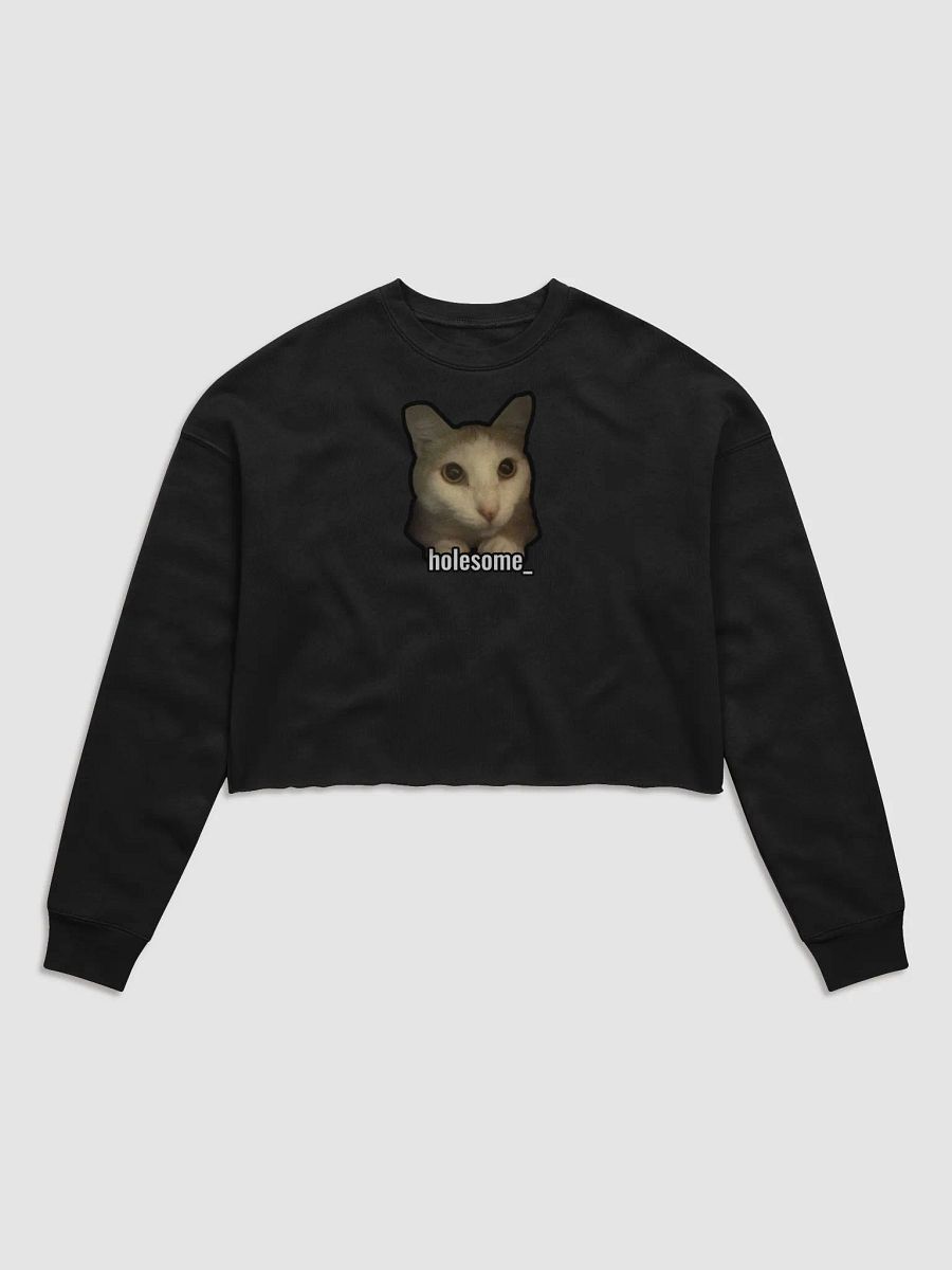 holesome Nico cropped sweatshirt product image (5)