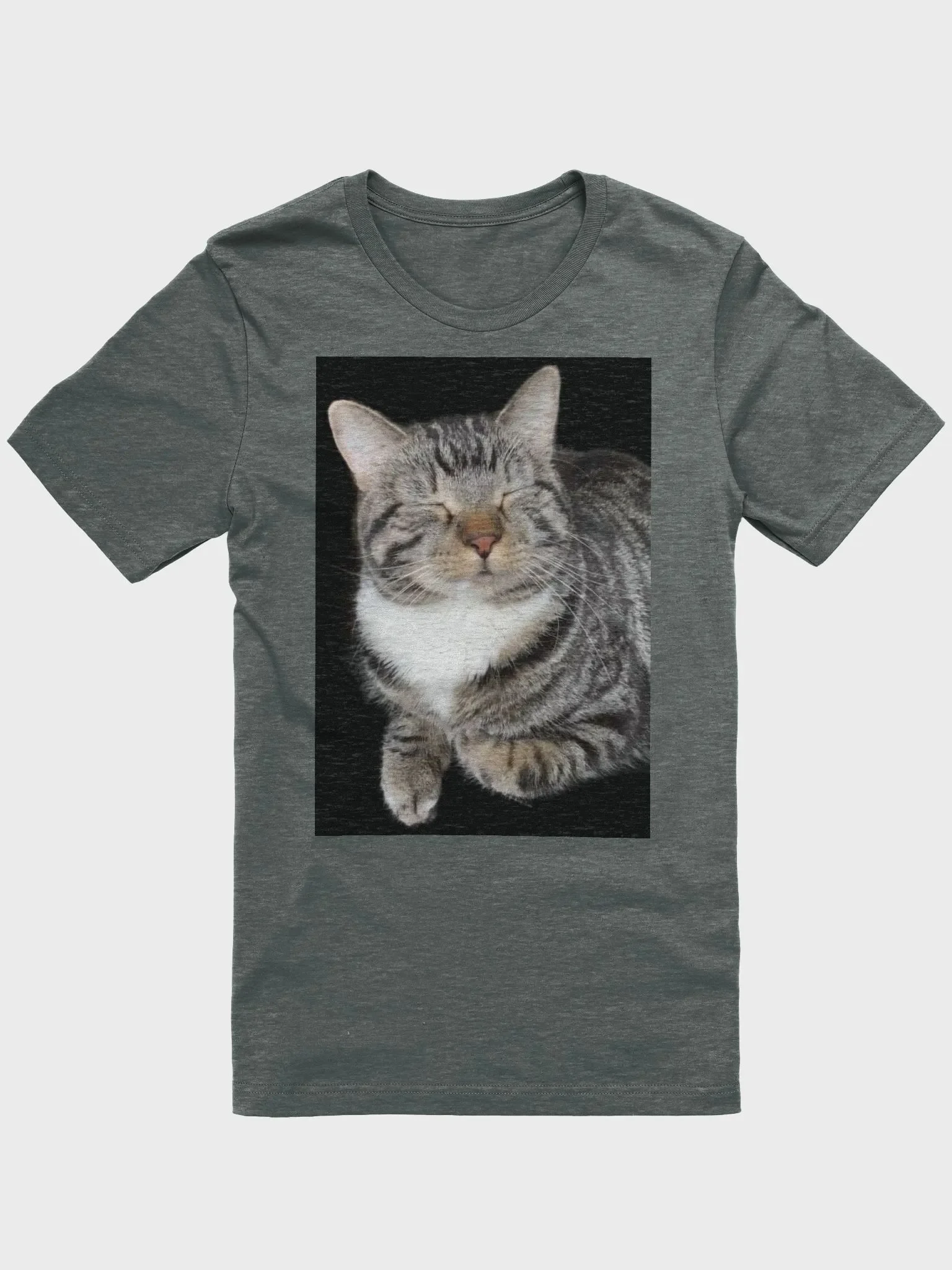 Scooter with Logo product image (1)