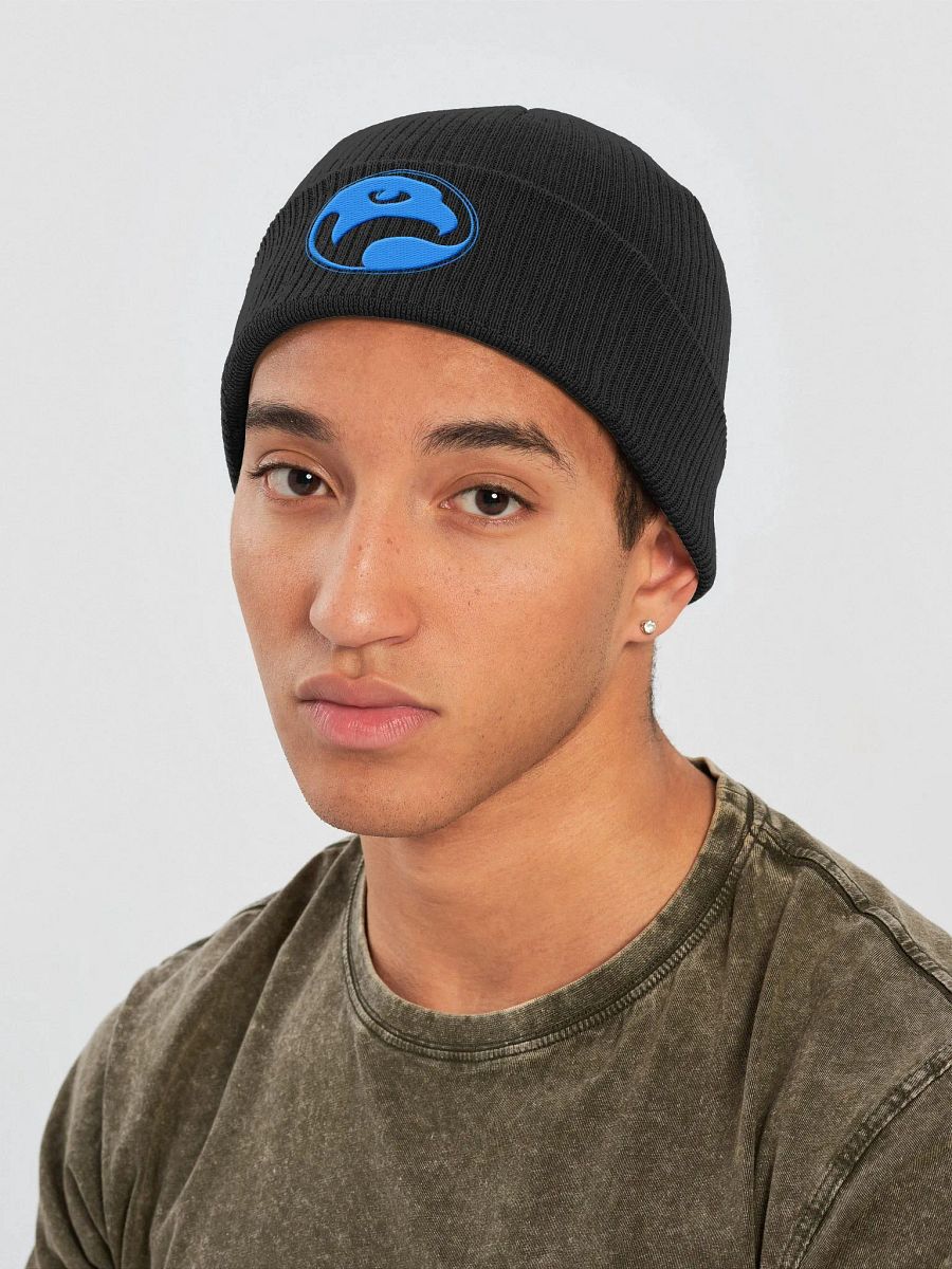 Falcon Circle Logo Beanie product image (3)