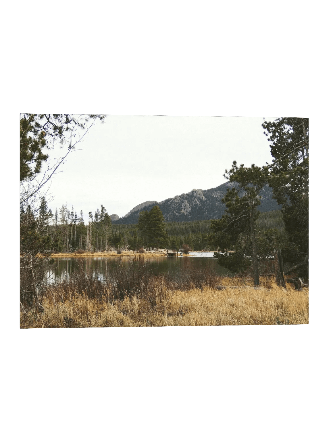 Sprague Lake Poster Print product image (1)