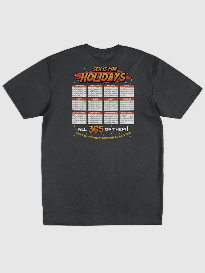 Sex is for Holidays - All 365 of Them! product image (2)
