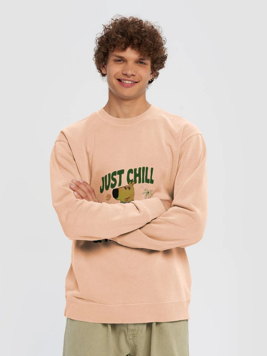 Chill Guy Winter Special Sweatshirts product image (3)