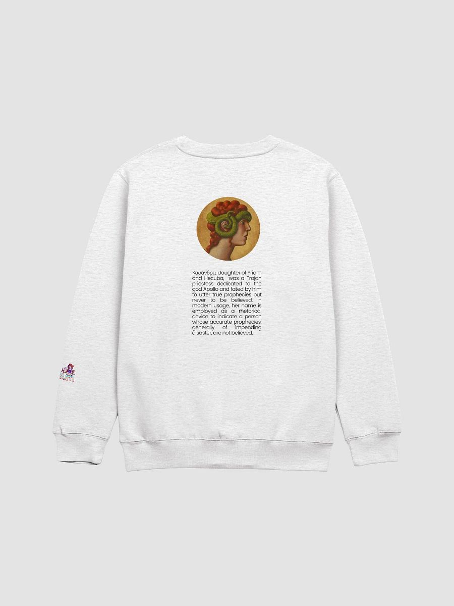 KASSANDRA FORESIGHT premium crewneck sweatshirt product image (6)