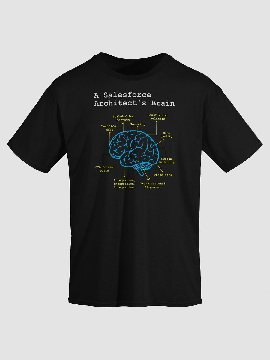 A Salesforce Architect’s Brain product image (23)