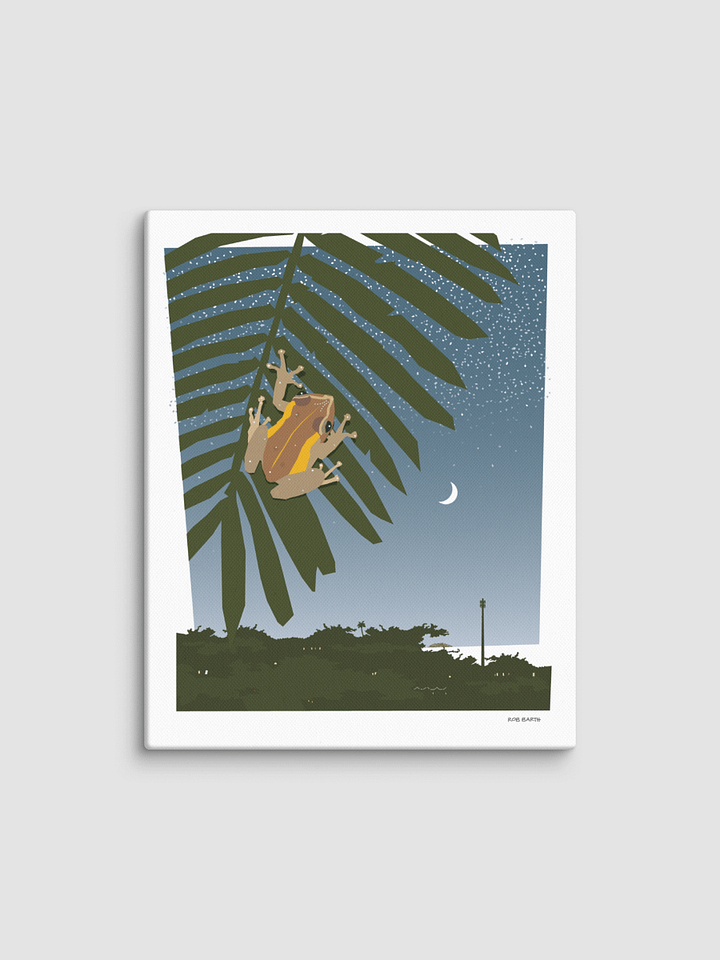 Coqui Canvas Print product image (1)