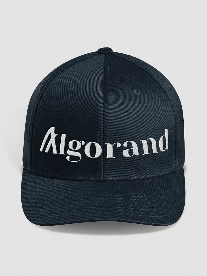 Algorand Fitted Hat product image (1)