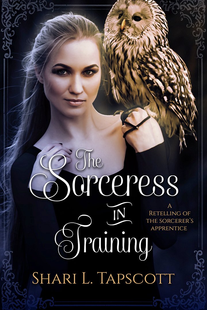 The Sorceress in Training Ebook (Fairy Tale Kingdoms, Book 3) product image (1)