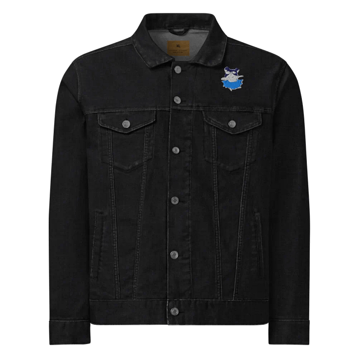 ballerina Hampan jacket product image (1)