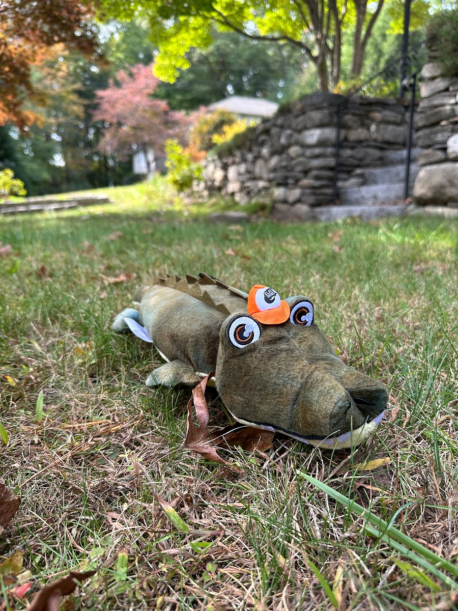 Alligator Plush product image (1)