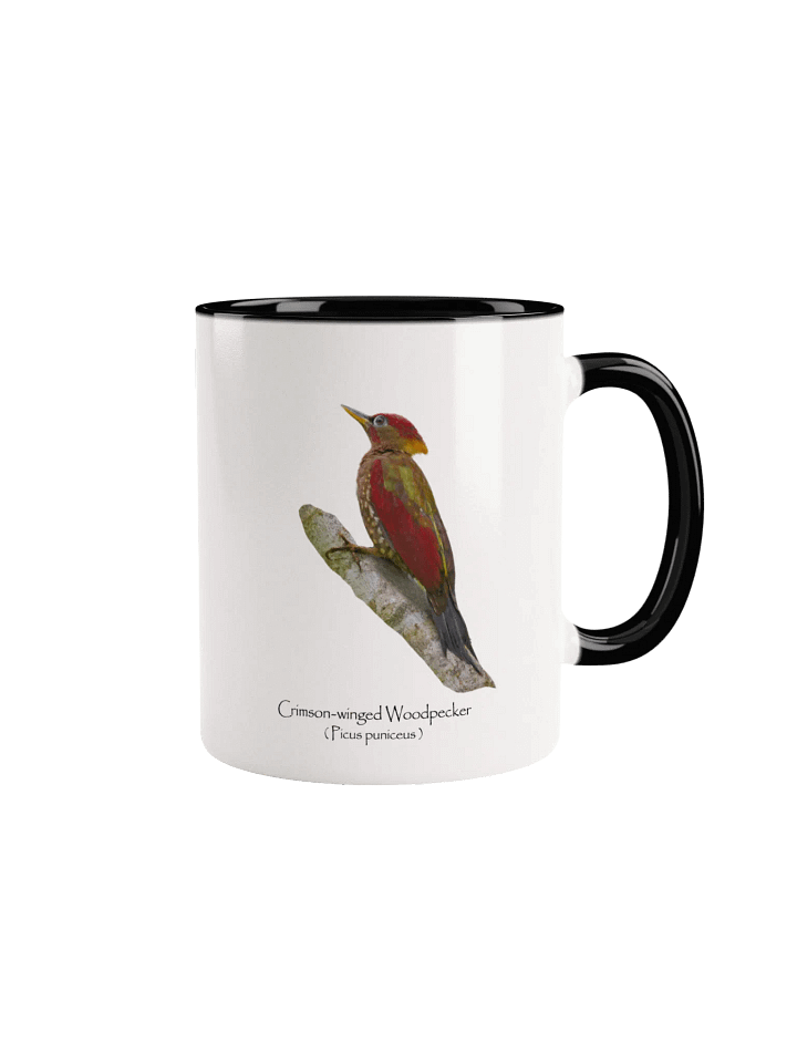 Crimson-winged Woodpecker mug product image (1)