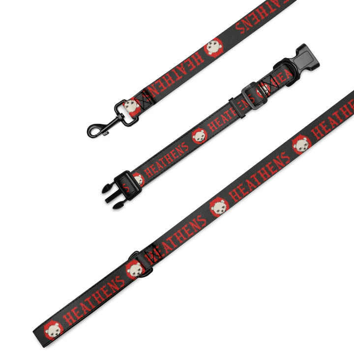 Heathens Leash and Collar product image (1)