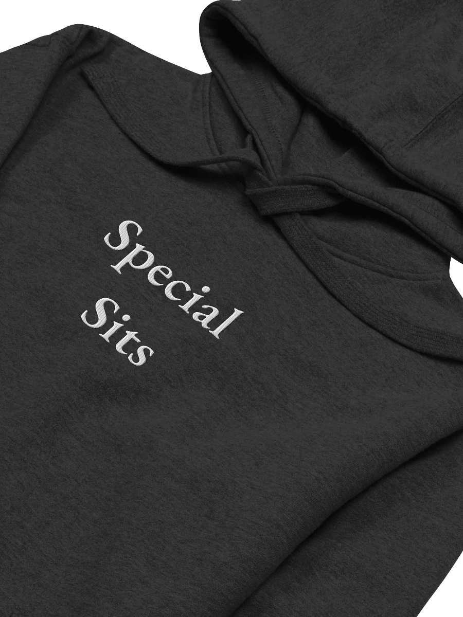 Special Sits - Hoodie product image (3)