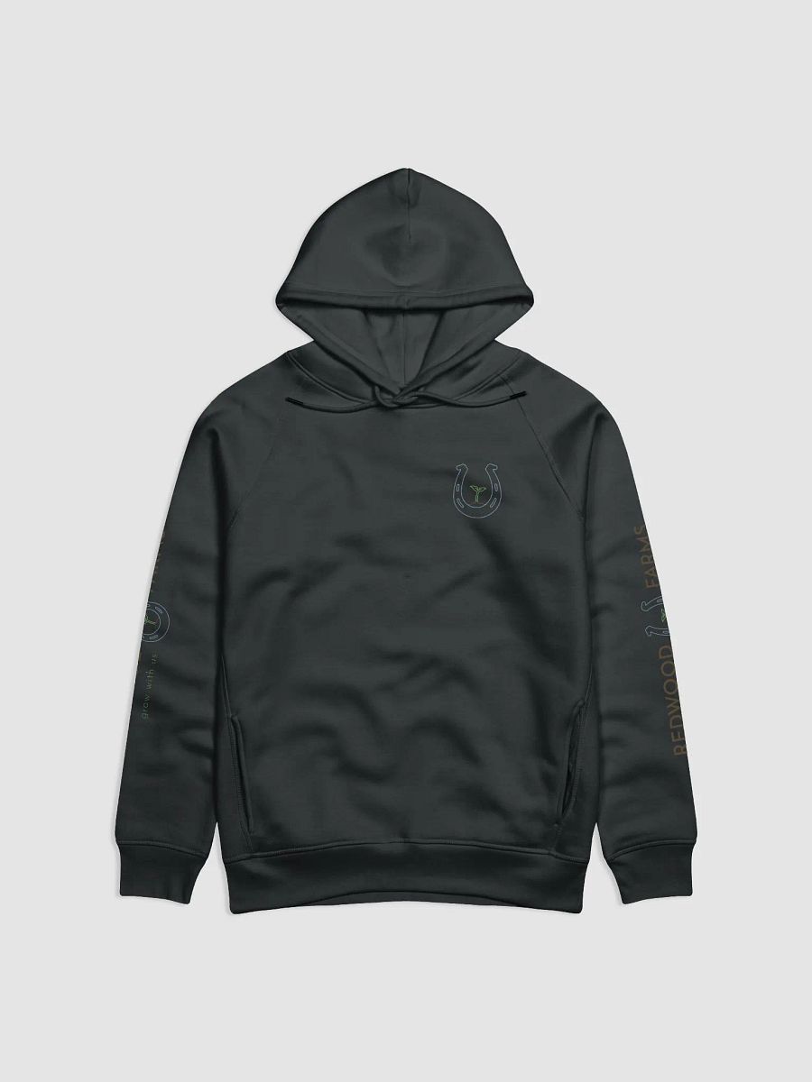 Hoodie product image (2)