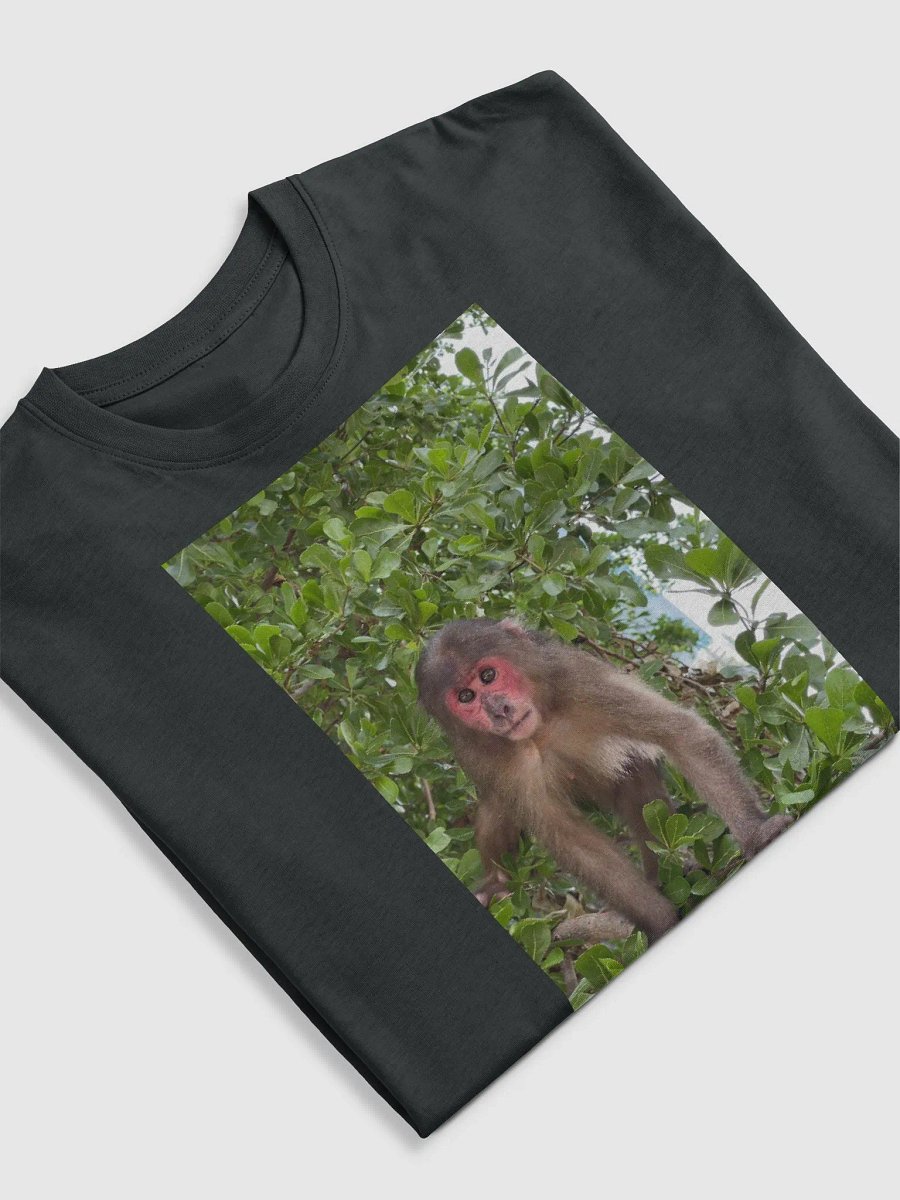 Monkey Coca product image (5)