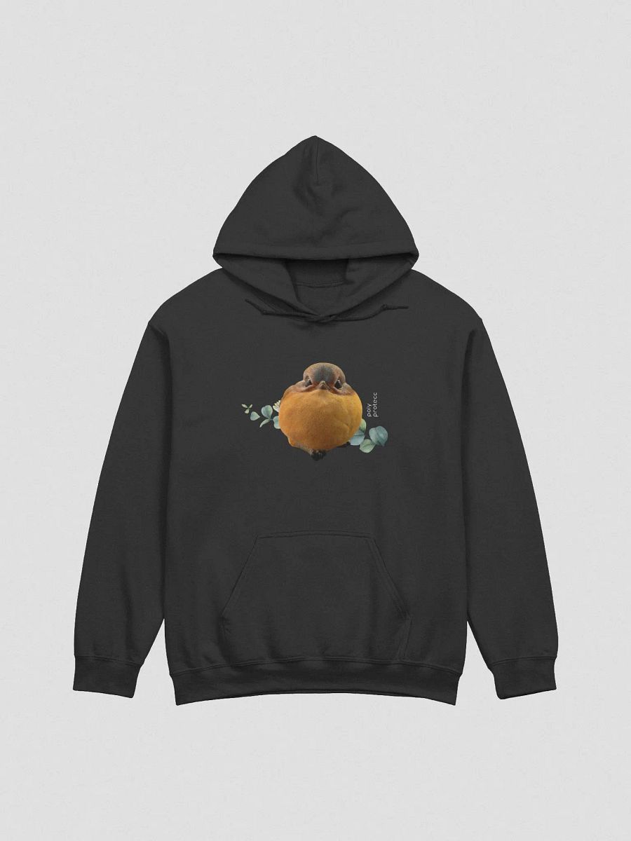 PolyProtecc Hoodie (dark) product image (3)