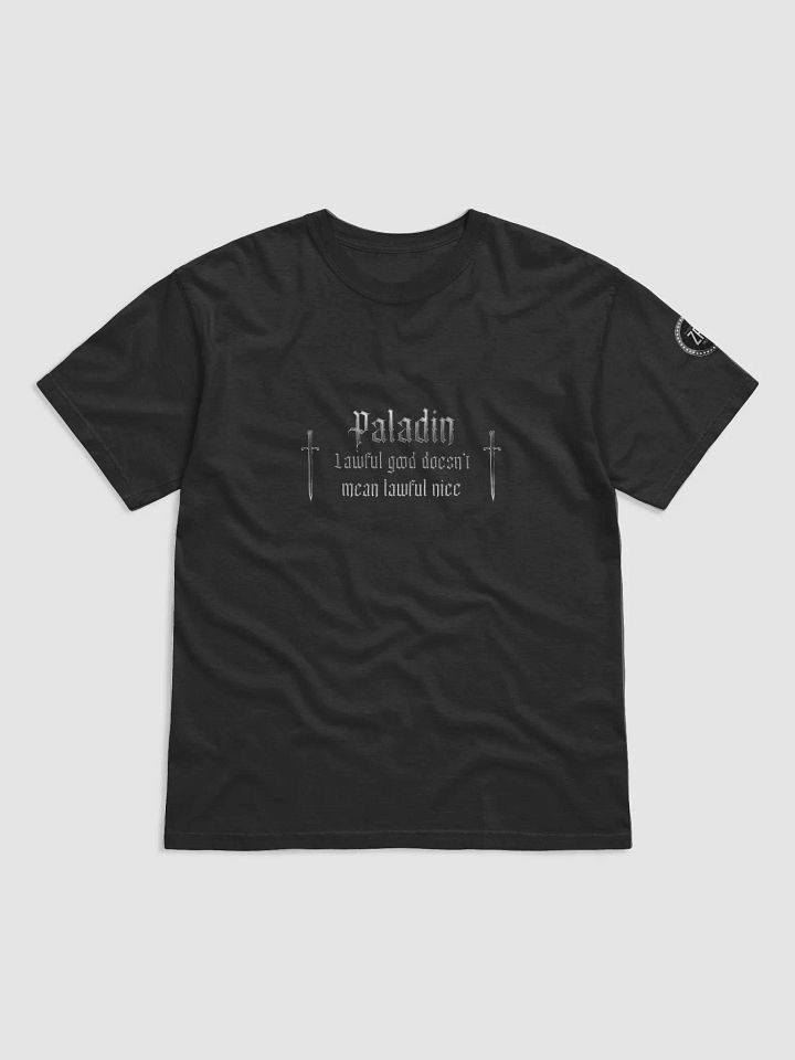 DnD Paladin product image (1)