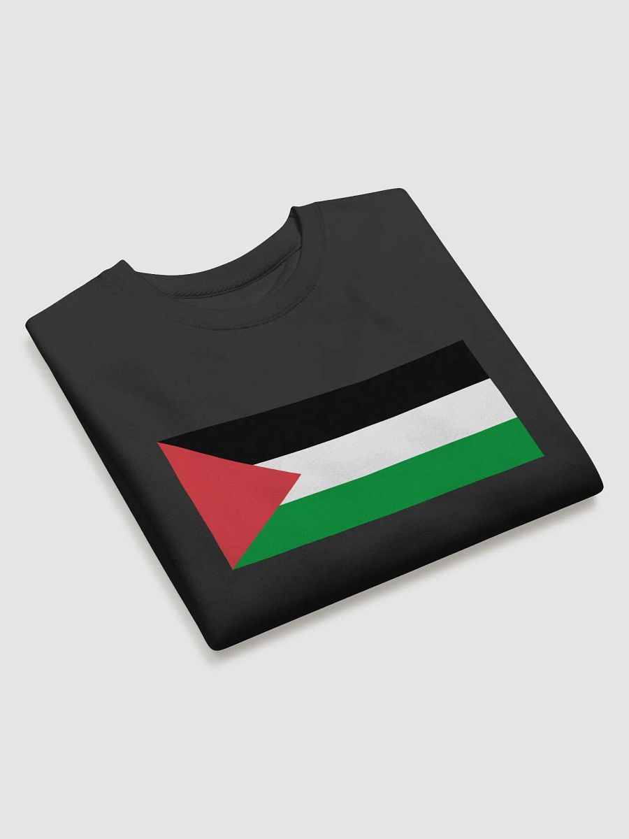 Palestine Long Sleeve - Big Flag product image (3)
