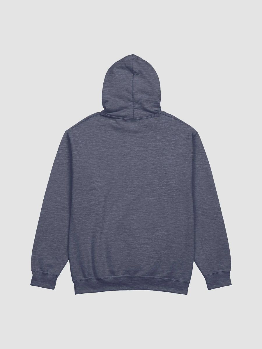 Defiant Bison Hoodie product image (45)