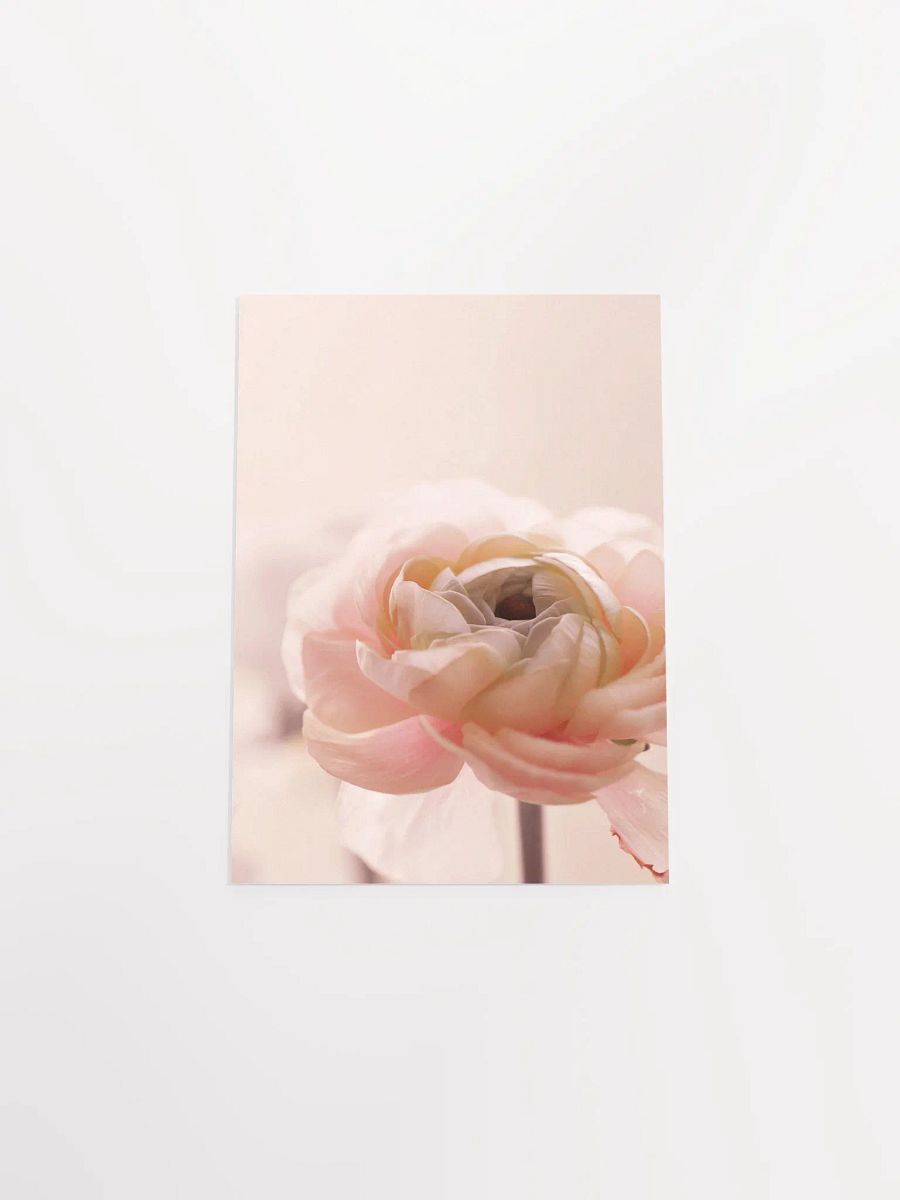 Dreamy flower Petal Delight Poster product image (53)