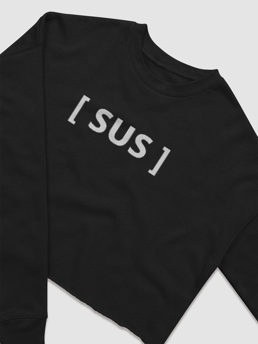 SUS CROP TOP product image (2)