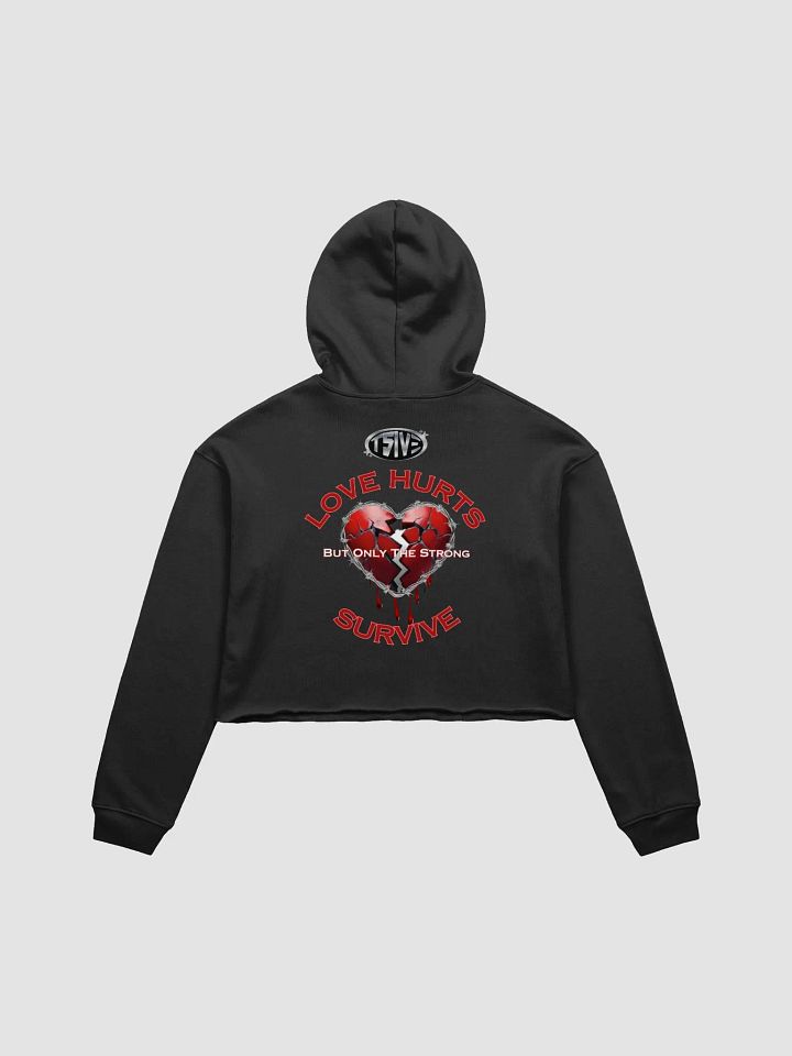 Love Hurts Cropped Hoodie product image (2)